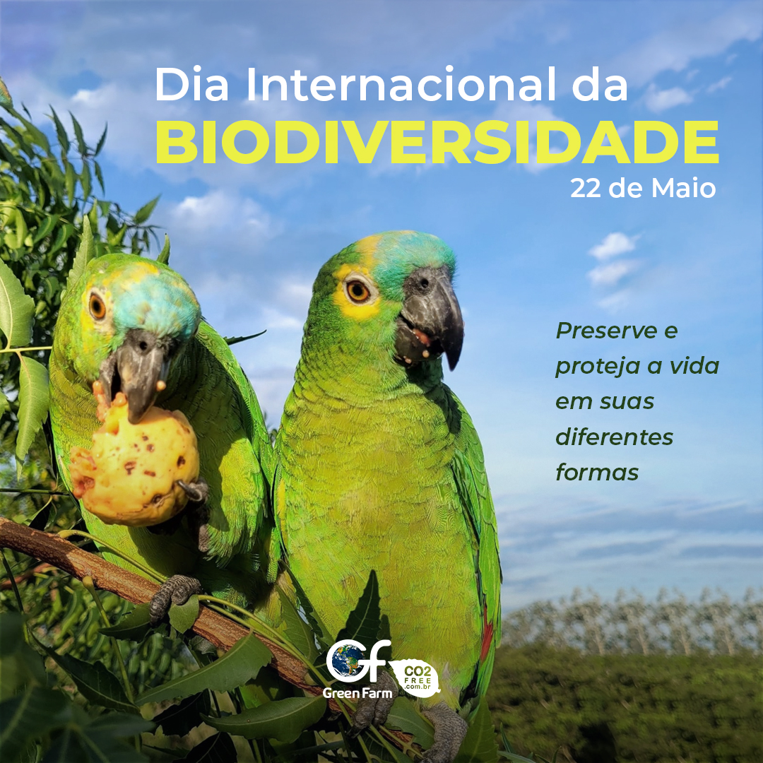 desafio 3 – Dia Internacional da Biodiversidade – CEA em blogue